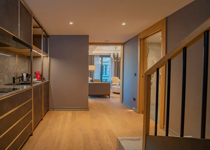 Sofitel Taksim 5* Стамбул